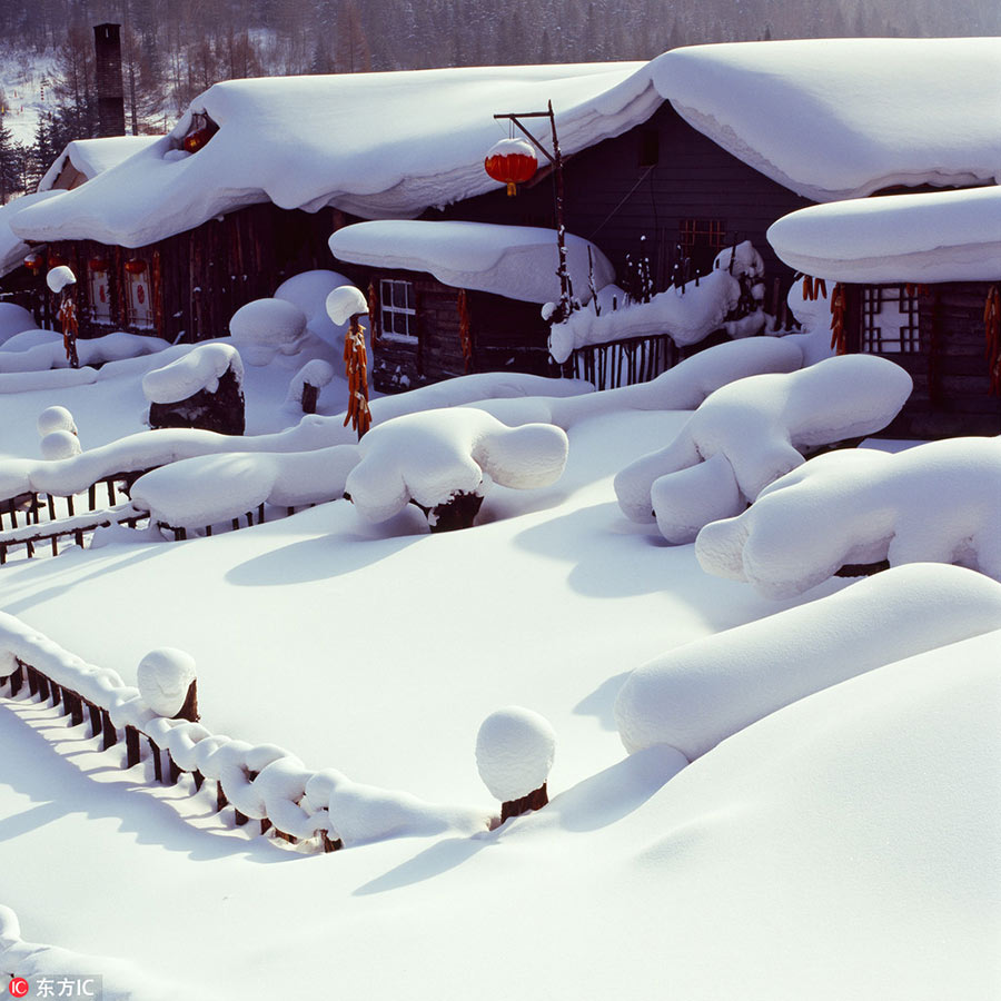 Snow village, a farm turns fairy tale world in Heilongjiang