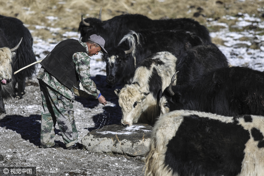 The hard and worthwhile life of anti-poaching patrol team in SW China