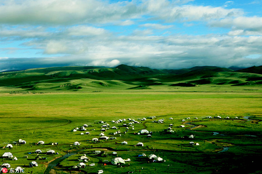 Grassland in Southwest China restored after years of ecological protection