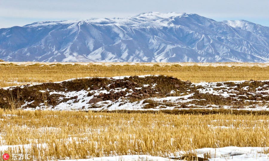 Grassland in Southwest China restored after years of ecological protection