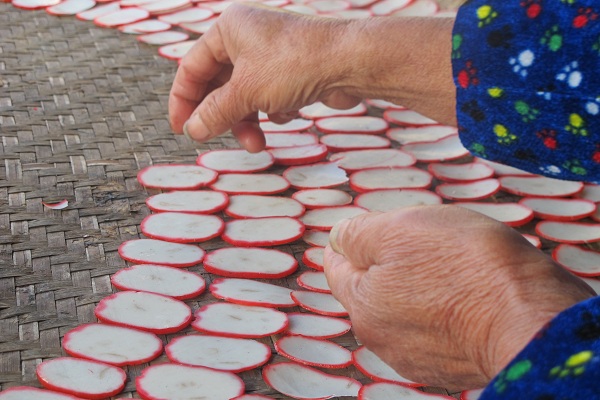 Mountainside village turned living museum