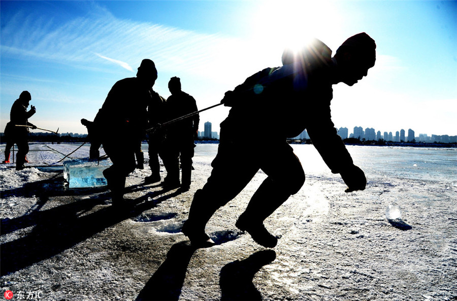 Harbin's ice movers: Tough job in chilly environment