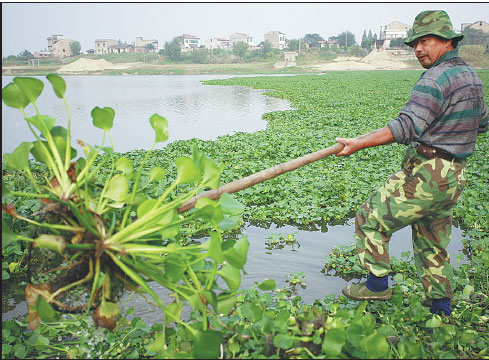 Conservation efforts boost Yangtze River wetland