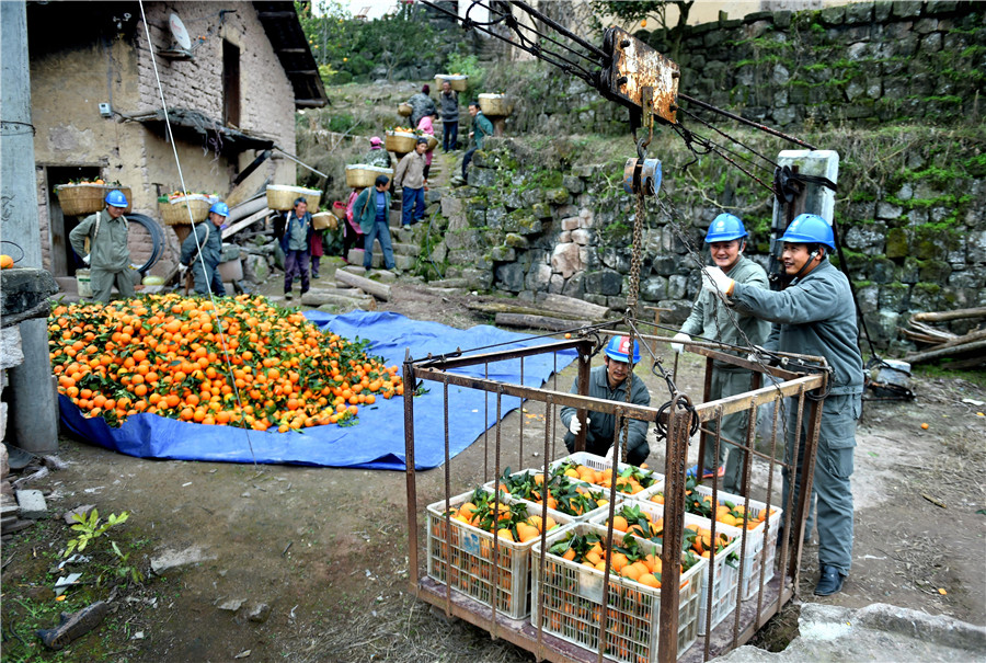 Cableway brings hope to orange farmers