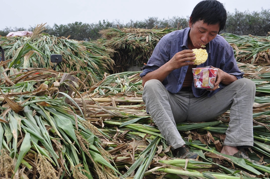 Instant noodles: Simple food, big impact on Chinese people's lives