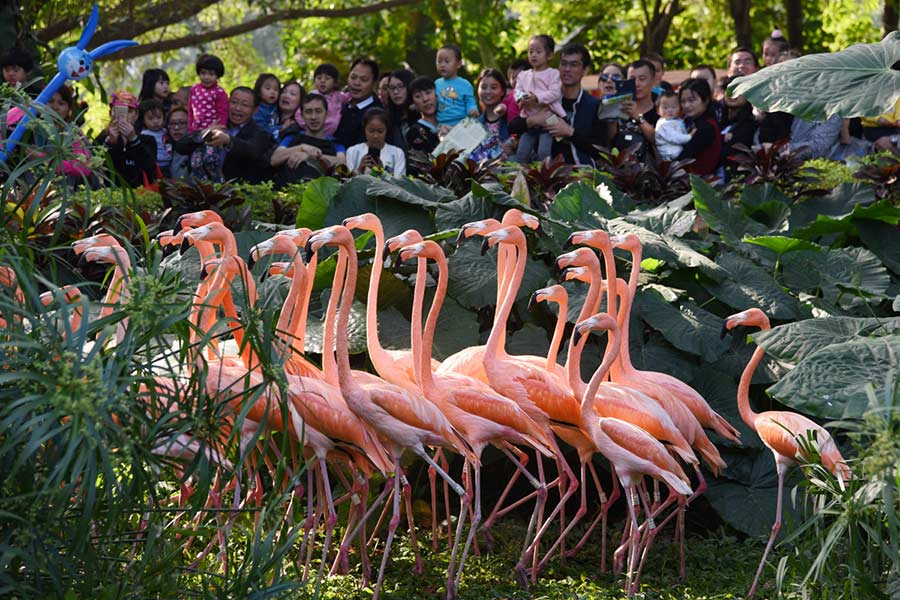 Ten photos from around China: Dec 30- Jan 5