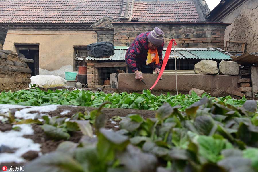 A 92-year-old Russian-Chinese woman's China connection