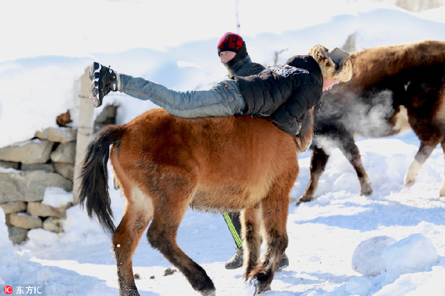 Xinjiang,a winter wonderland