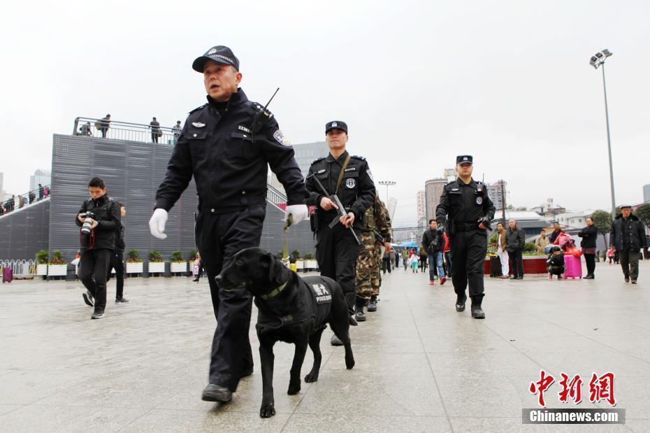 A police dog's last mission