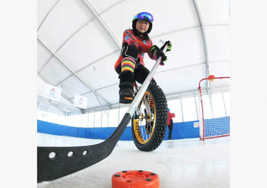 Ditching ice skates for wheels on the hockey rink