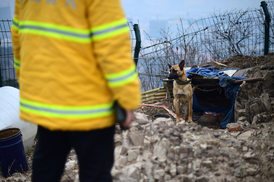 Man spends Spring Festival guarding mountain alone