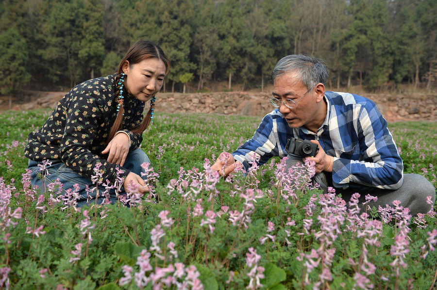 Couple's flower valley planted with love gains national attention