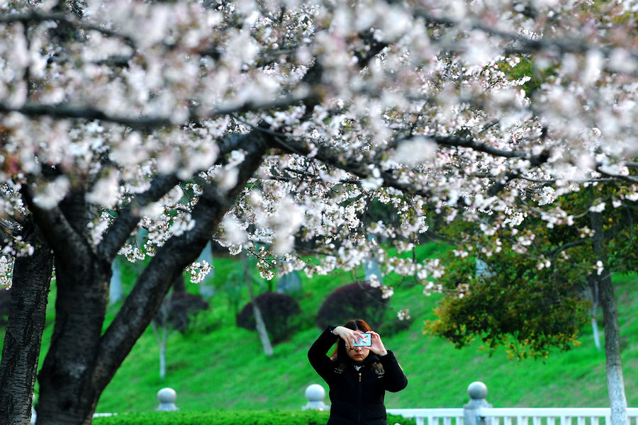 Ten photos from across China: March 10-16