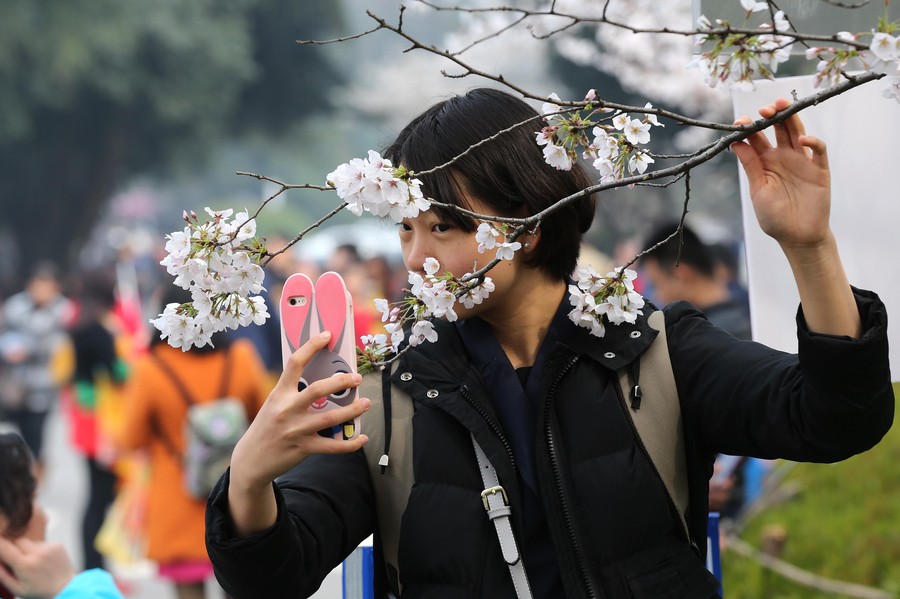 Visitors flock to cherry blossoms at Wuhan University