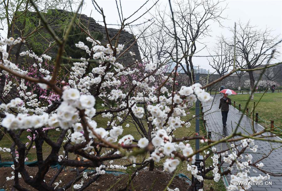 Cold front brings rainfall to Beijing