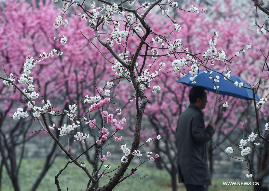 Cold front brings rainfall to Beijing