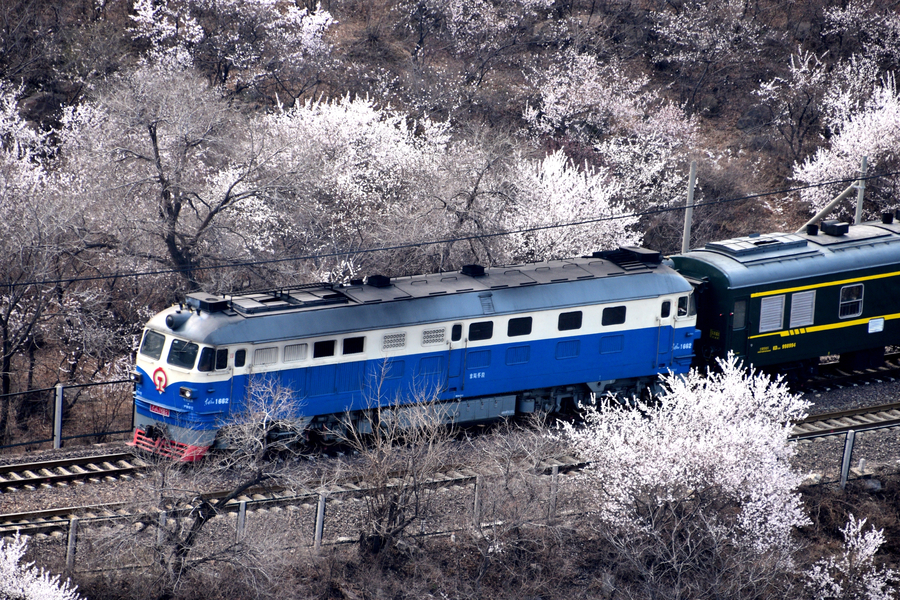 A peachy train ride