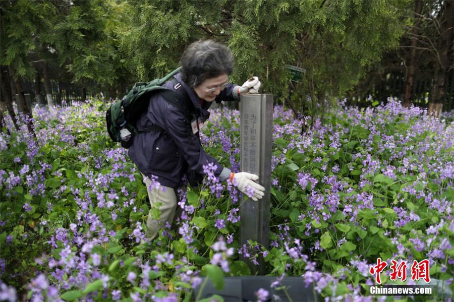 Members of Japanese delegation mourn for victims in Nanjing Massacre