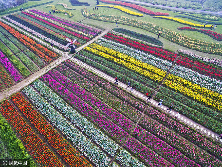 China shows of its beauty in spring