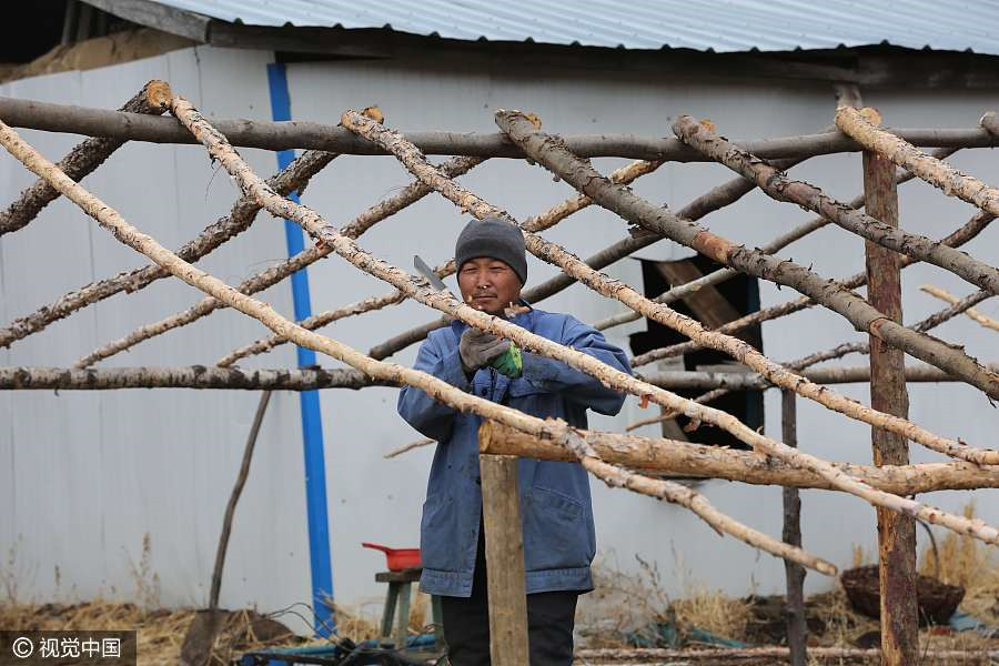 Population in a village drops to 18 in NE China