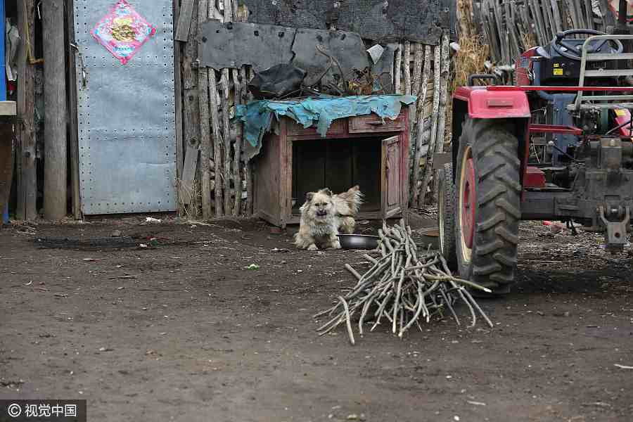 Population in a village drops to 18 in NE China