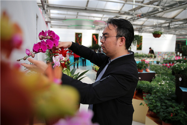 Beijing landscaper finds his garden bliss