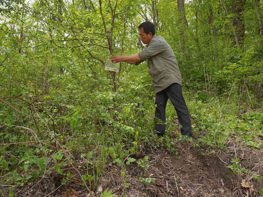 Teacher promotes importance of exposure to nature