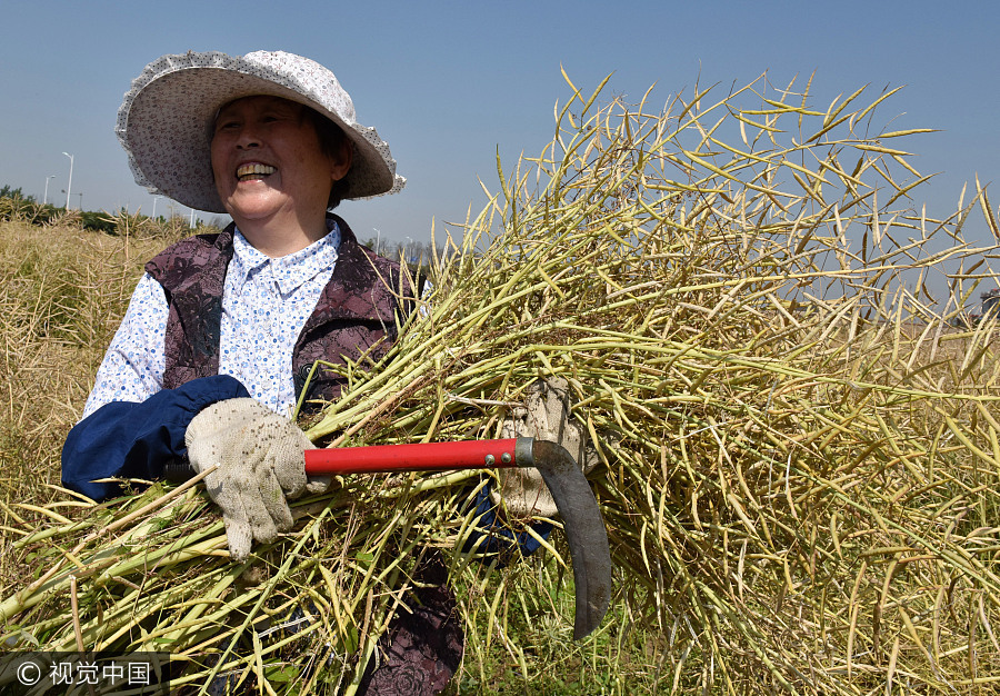 Ten photos from around China: May 12-18