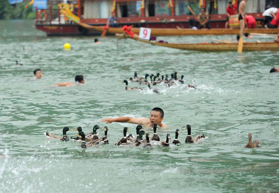 Duck-catching event held to celebrate Duanwu Festival in Tongren