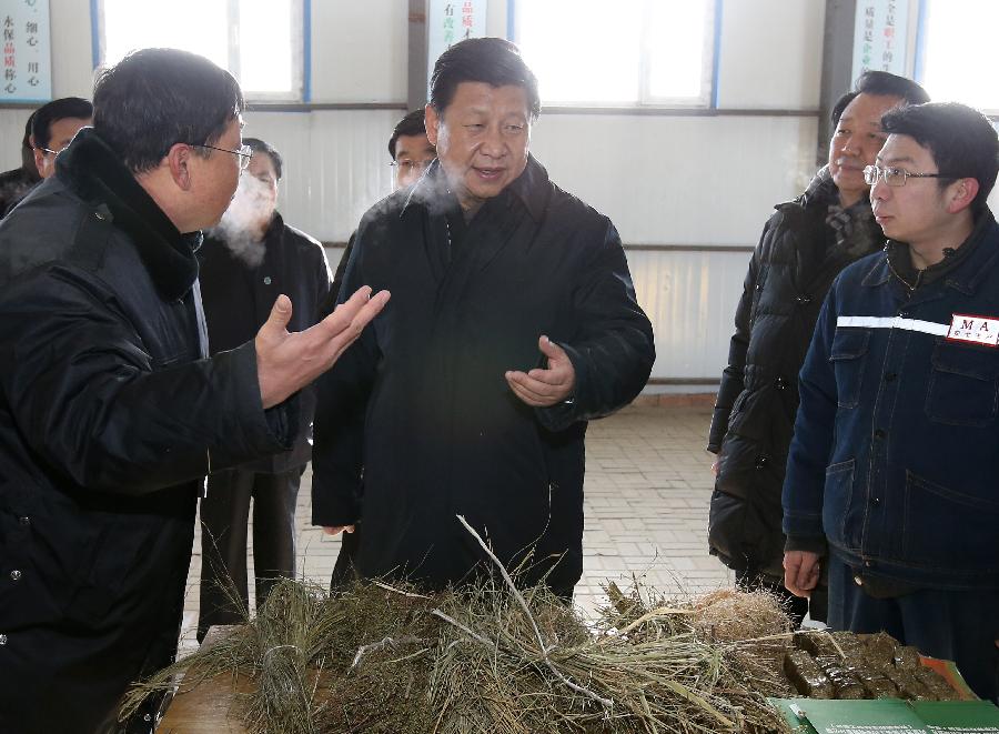 President Xi pays visit to Inner Mongolia