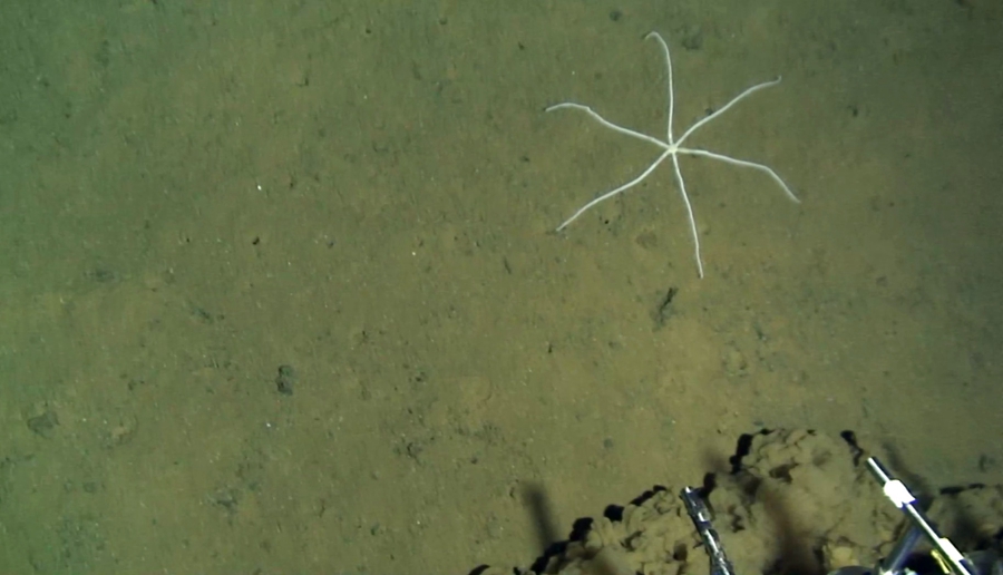 In the deep ocean, China stands out