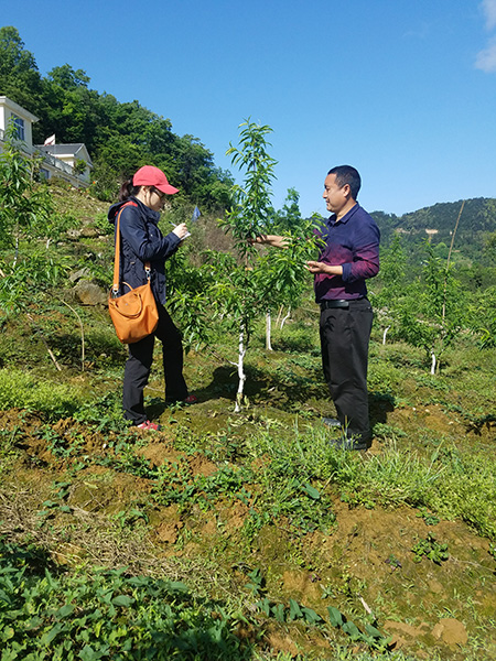 Learning lessons about the countryside