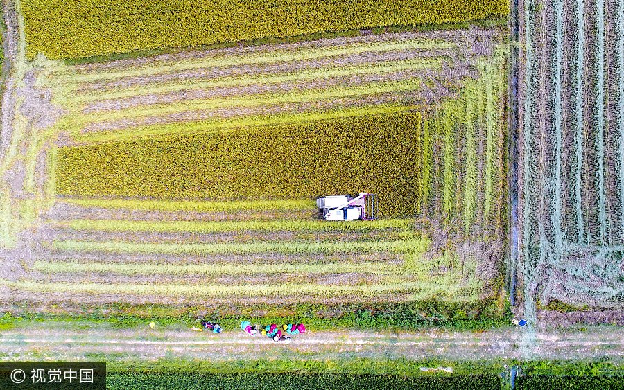 Ten photos from across China: July 14-20