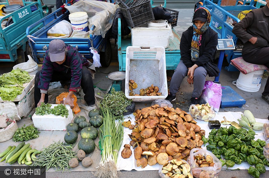 Heat wave? What heat wave? Heilongjiang residents shiver