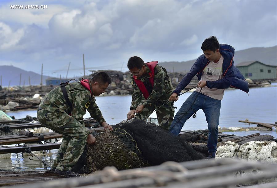 Typhoon Nesat makes landfall in east China