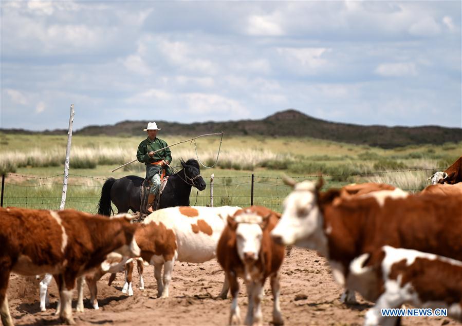 A glance at Inner Mongolia's better ecosystem