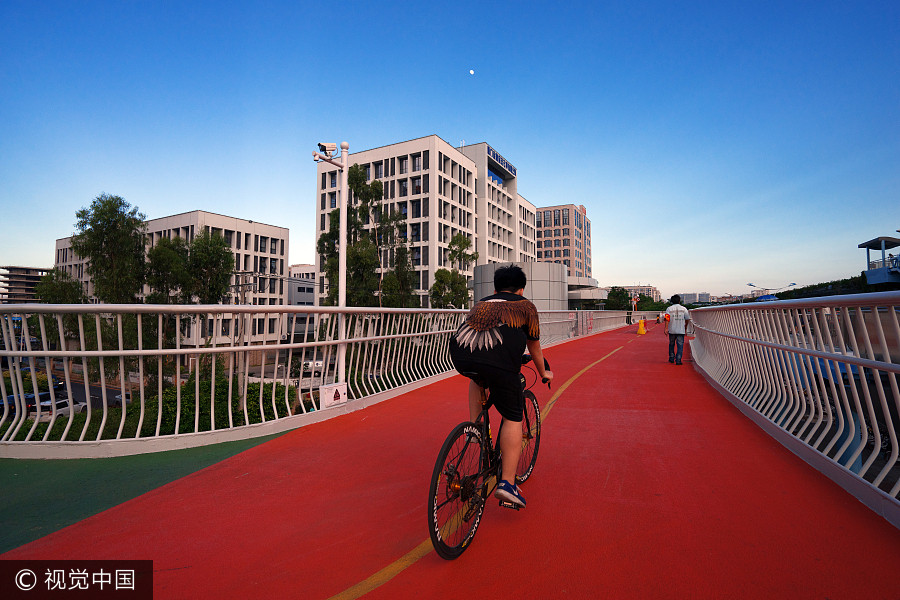 Cycling with a view on world's longest elevated bike path