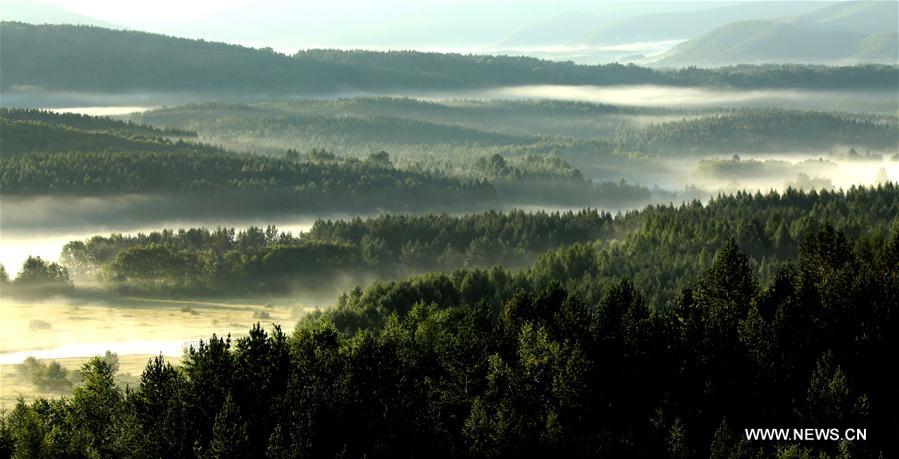 Beautiful scenery of Saihanba in N China