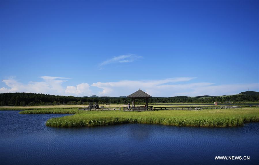 Beautiful scenery of Saihanba in N China