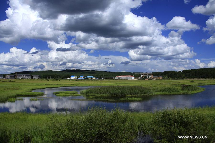 Beautiful scenery of Saihanba in N China