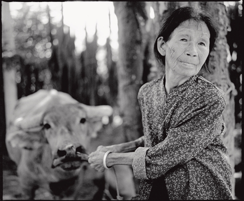 'Comfort woman', 90, dies at home