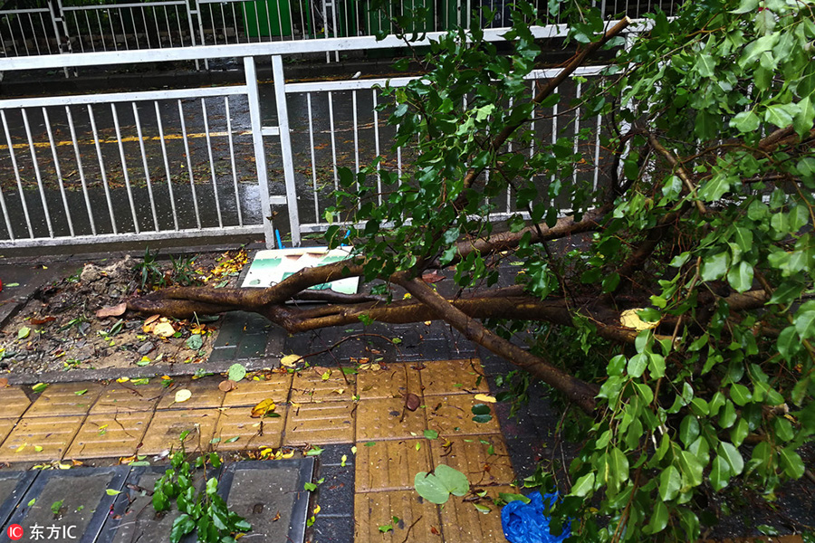 Typhoon Hato brings strong winds, rain as it lands in South China