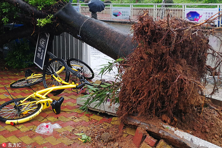 Typhoon Hato brings strong winds, rain as it lands in South China