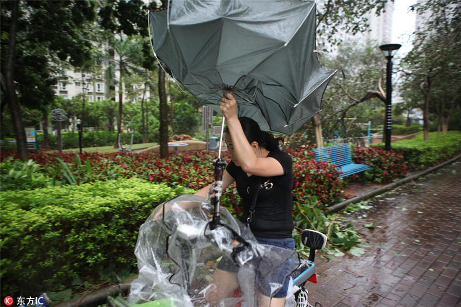 Typhoon Hato makes landfall in south China