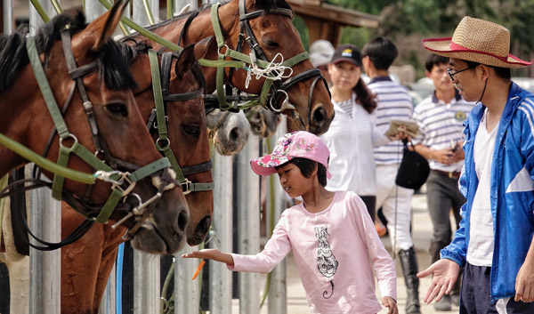 Horse riding graduates get off to a good start