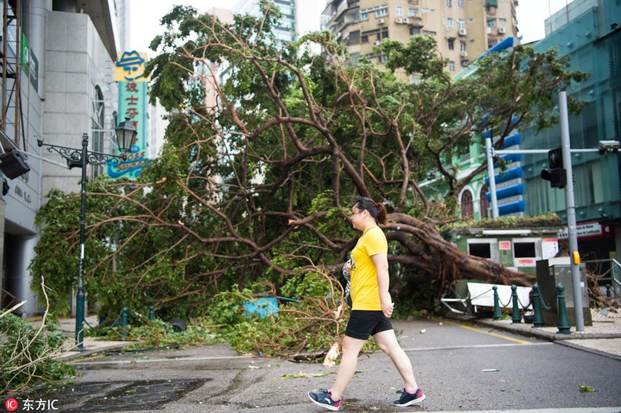 Typhoon Hato leaves a mess