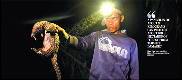 Kung fu star aims a blow at pangolin poachers