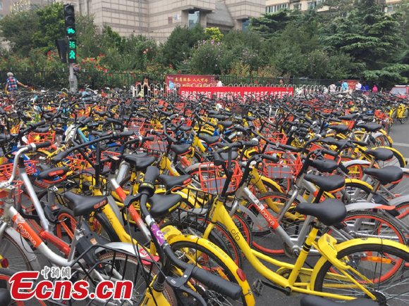 Bike-sharing companies required to buy insurance for users