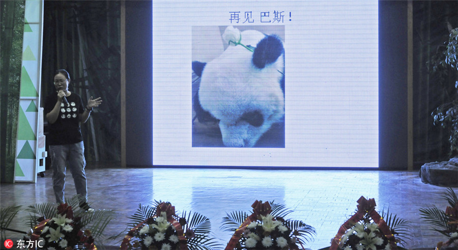 People pay tribute to world's oldest panda