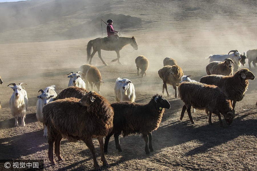 On the move: Kazak herdsmen head to winter pastures